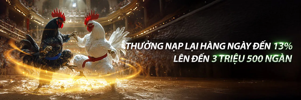 Đá gà trực tuyến tại ft88 đăng nhập